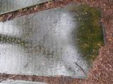 image of grave number 682950
